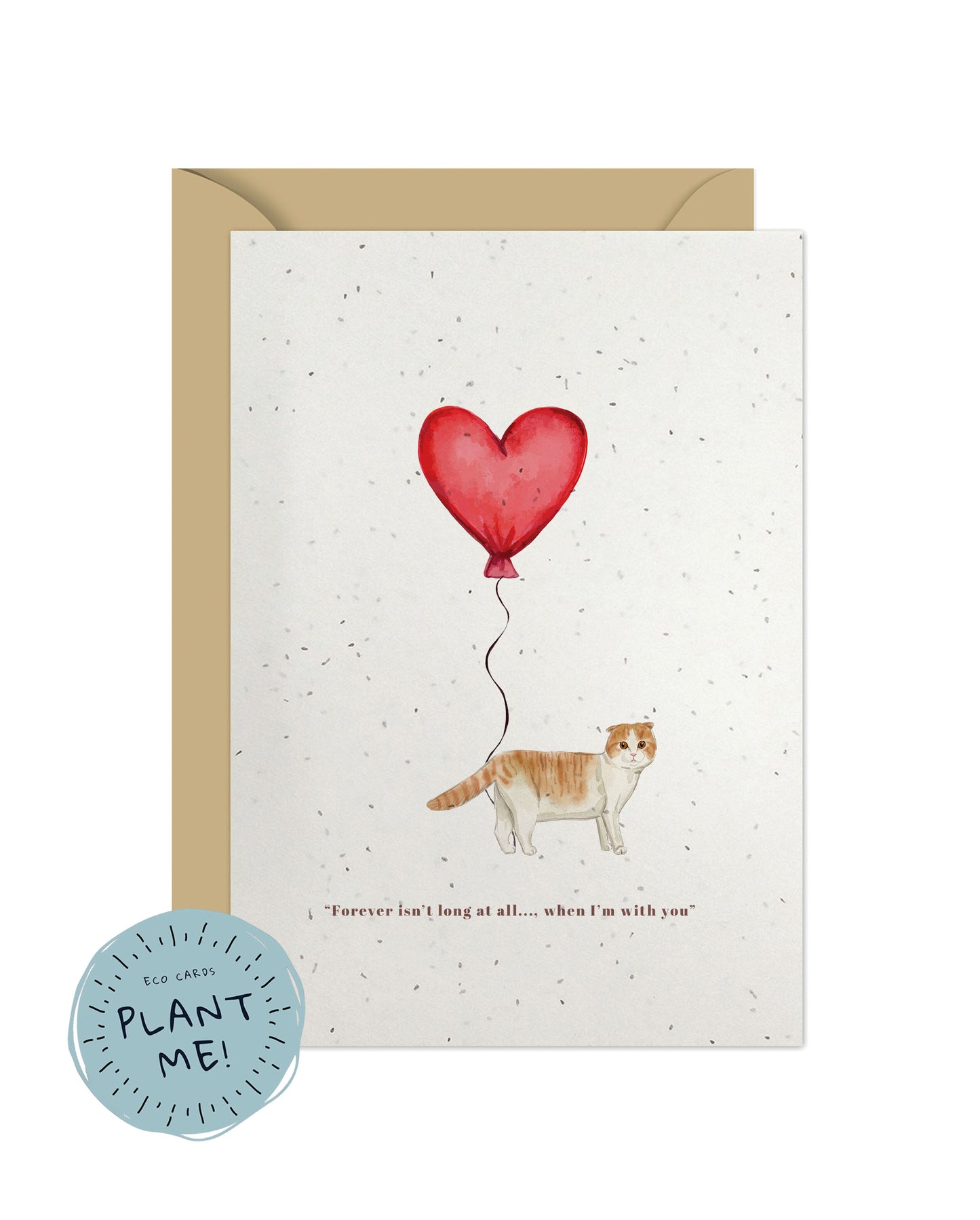 Forever isn't Long, Scottish Fold Anniversary Card