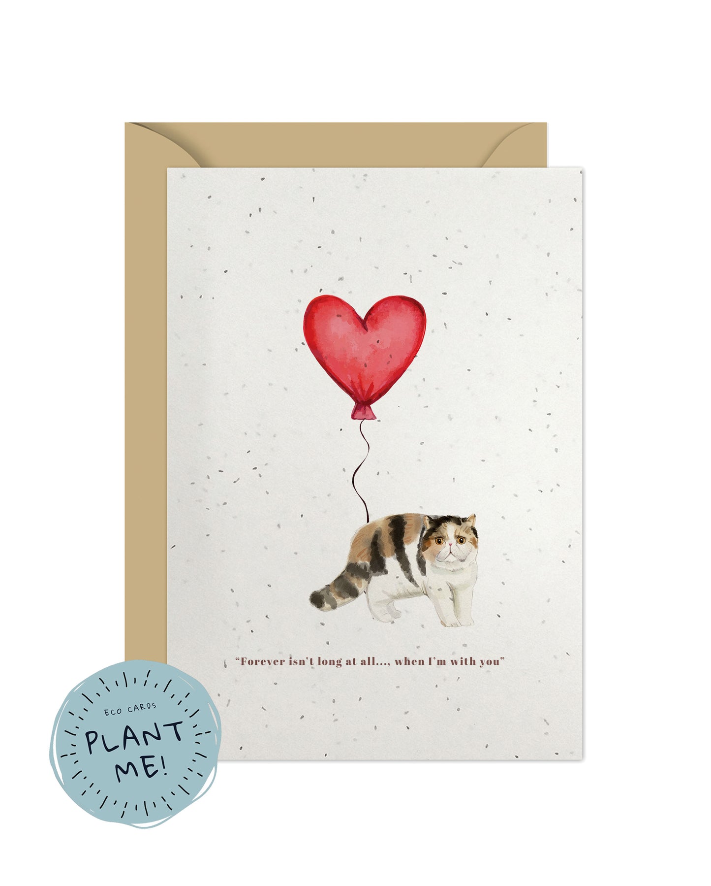 Forever isn't Long, Exotic Shorthair Anniversary Card