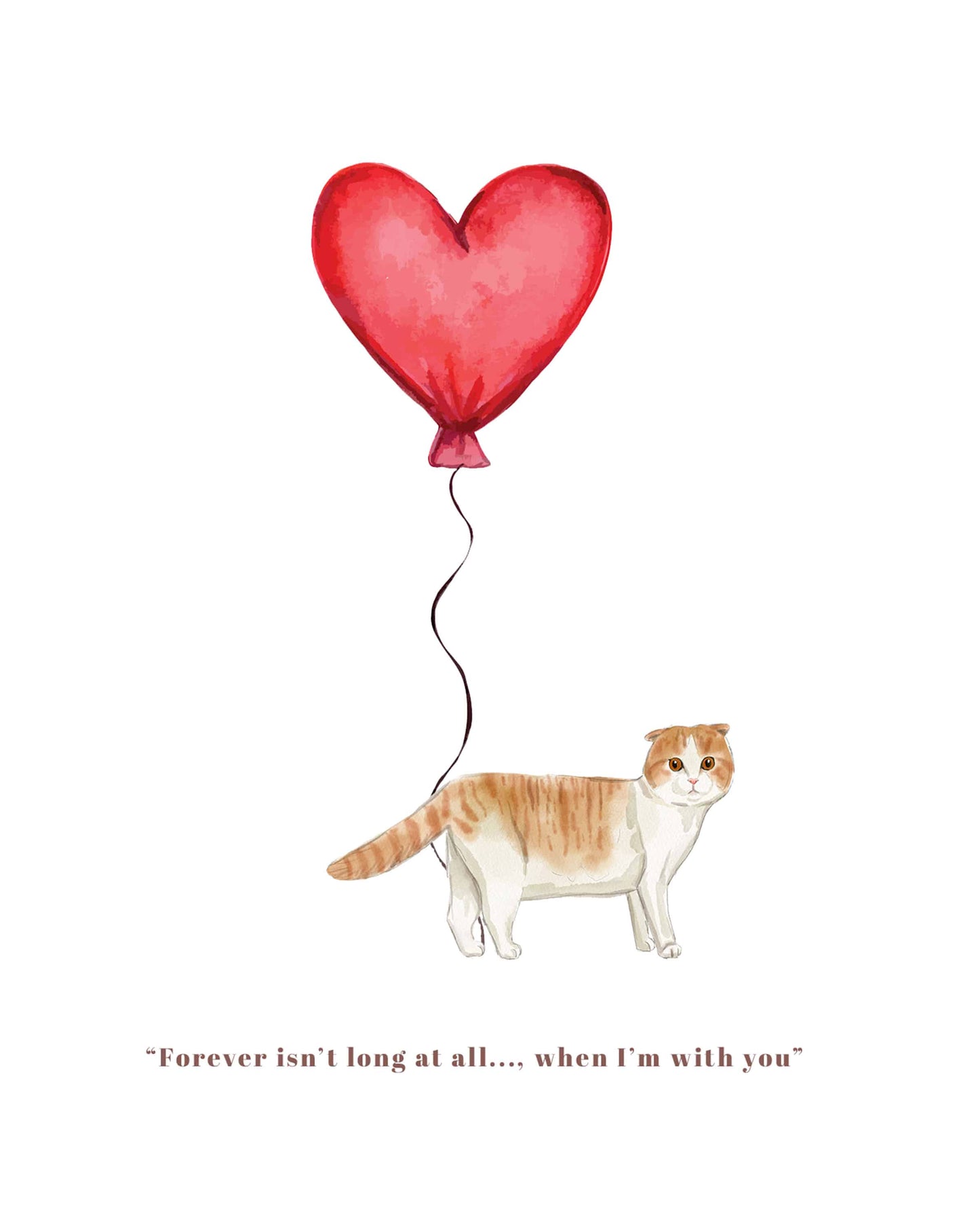 Forever isn't Long, Scottish Fold Anniversary Card