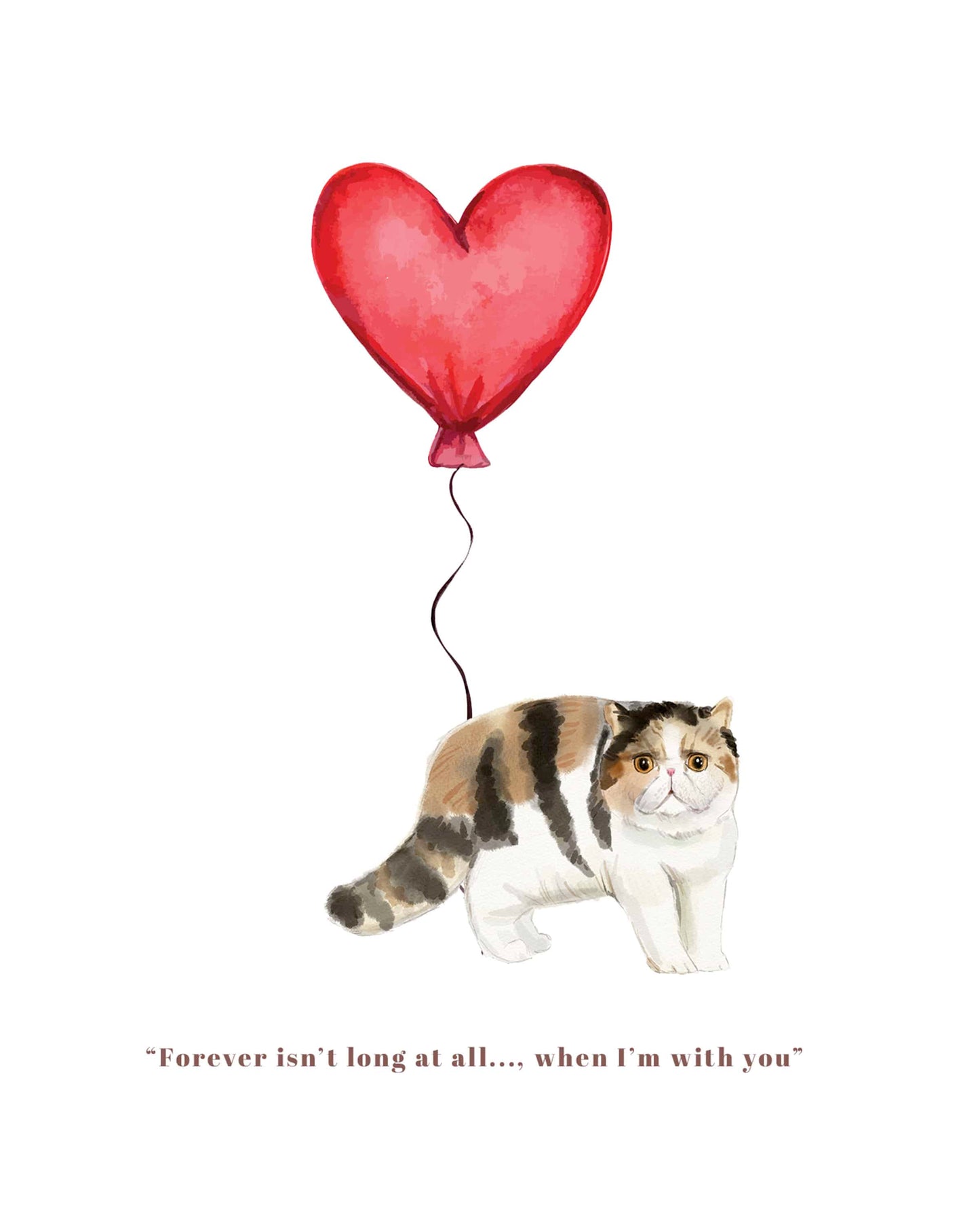 Forever isn't Long, Exotic Shorthair Anniversary Card