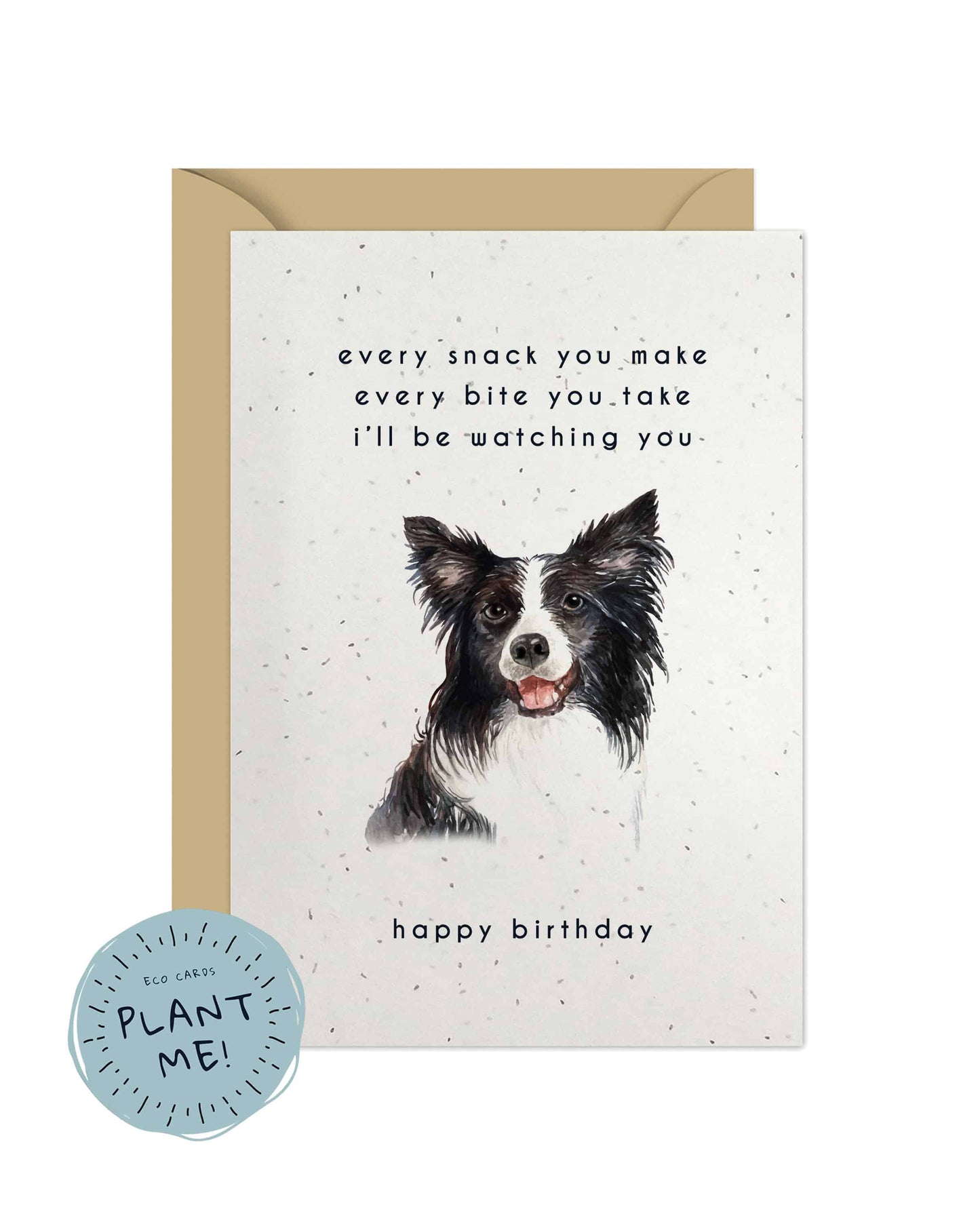 Every Bite You Take, Border Collie Birthday Card