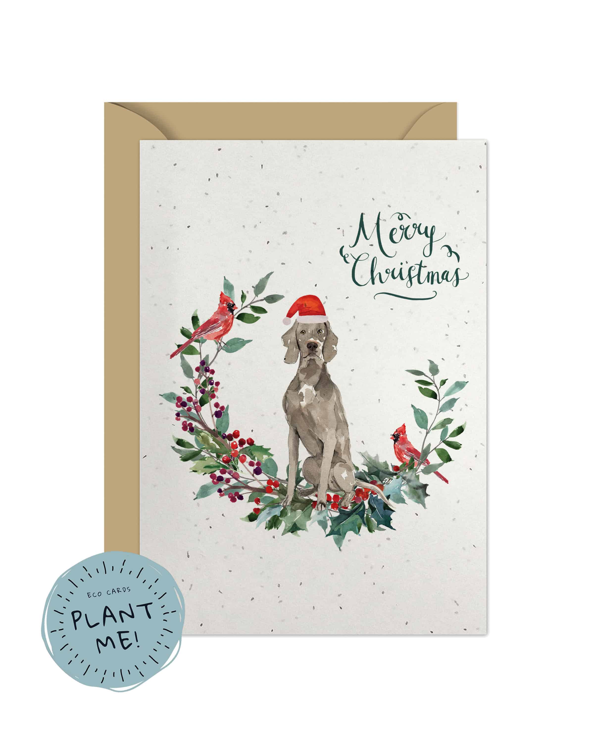 Christmas weimaraner best sale