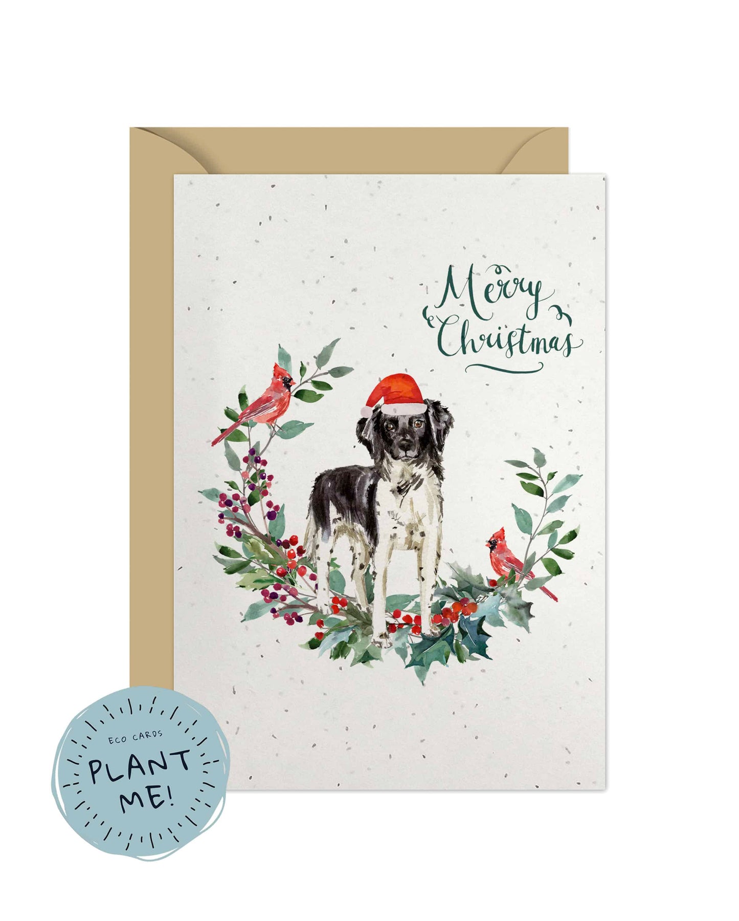 Stabyhoun Dog Christmas Card