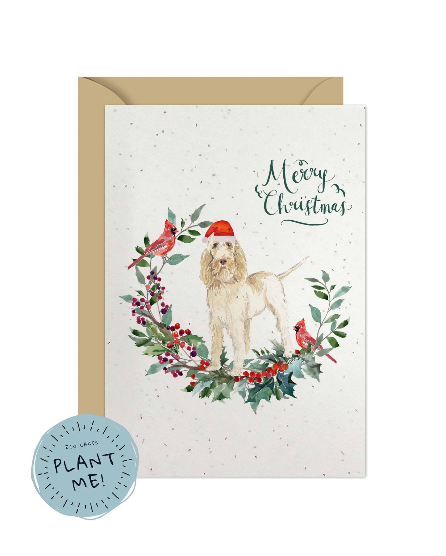 Spinone Italiano Dog Christmas Card