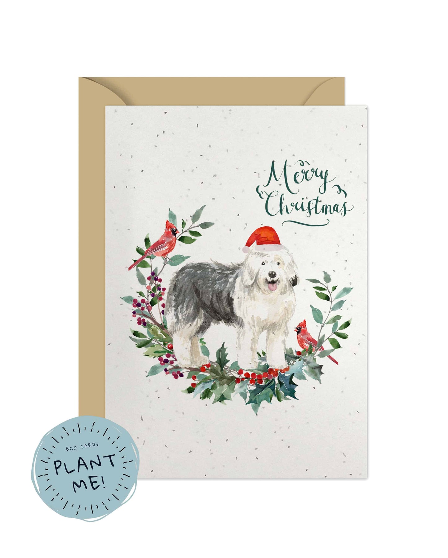 Old English Sheepdog Christmas Card