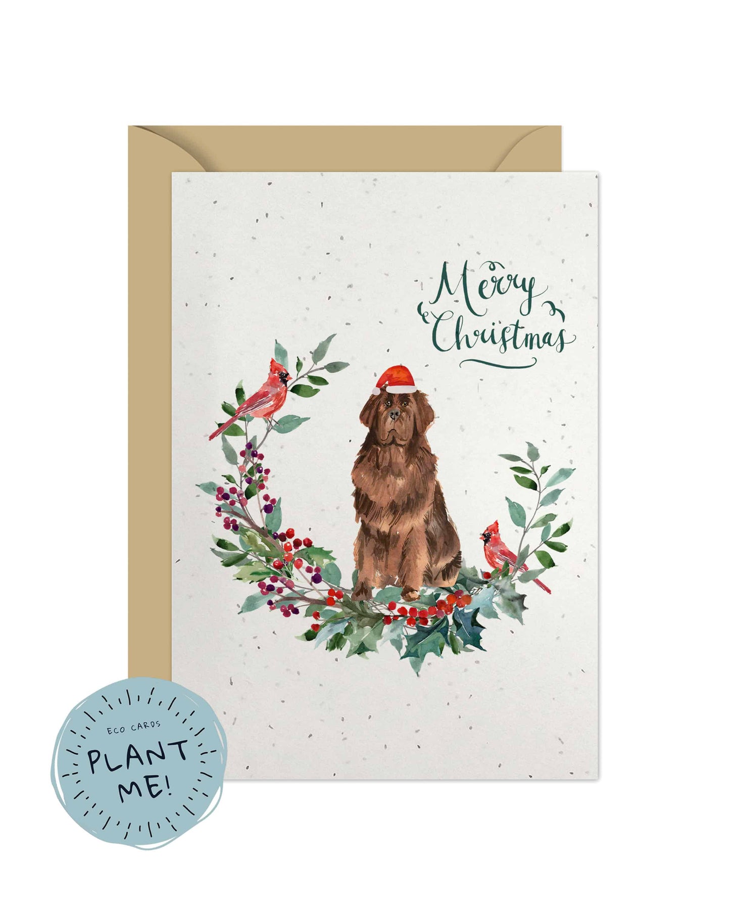 Newfoundland Dog Christmas Card