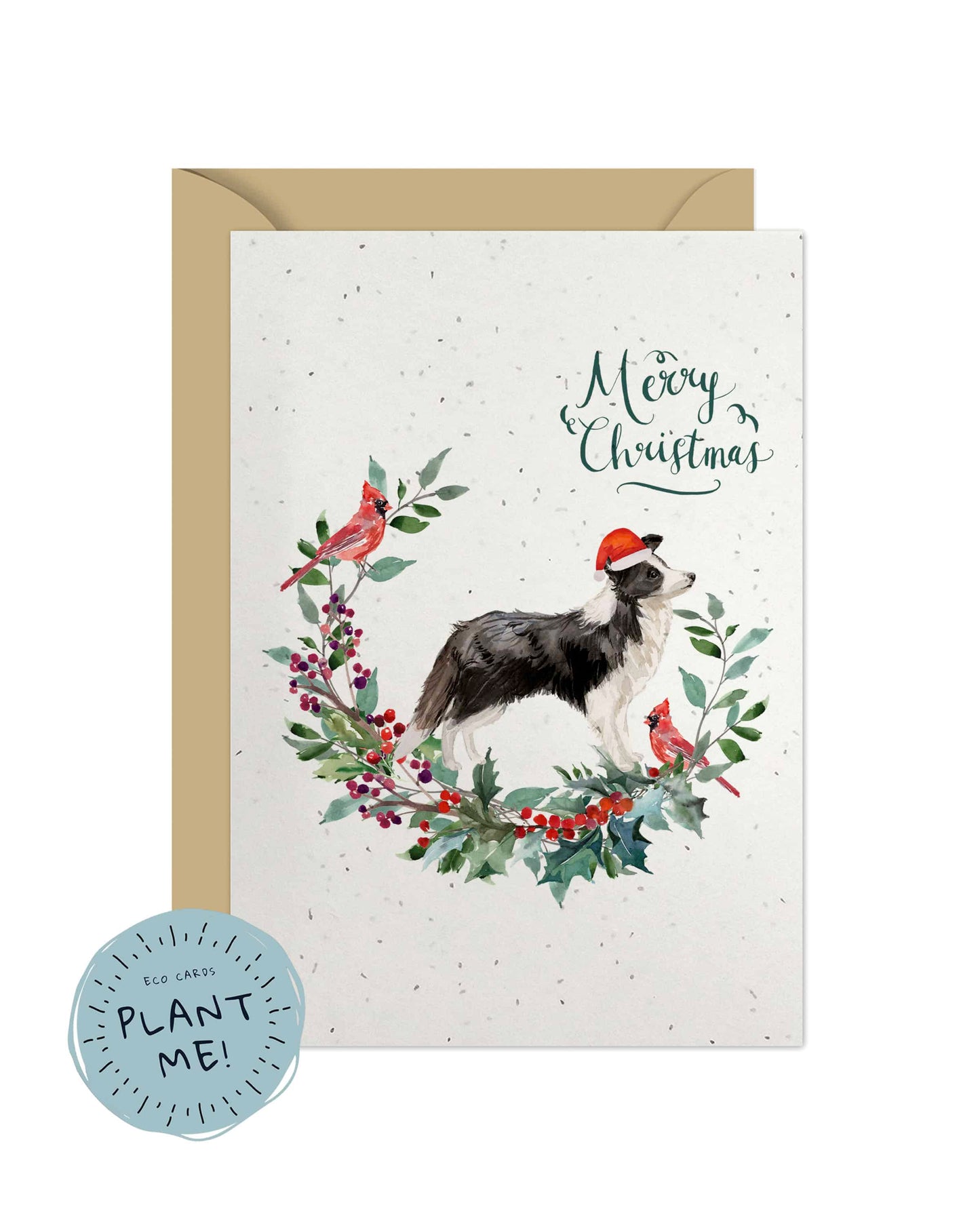 Border Collie Dog Christmas Card