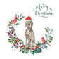 Weimaraner Dog Christmas Card