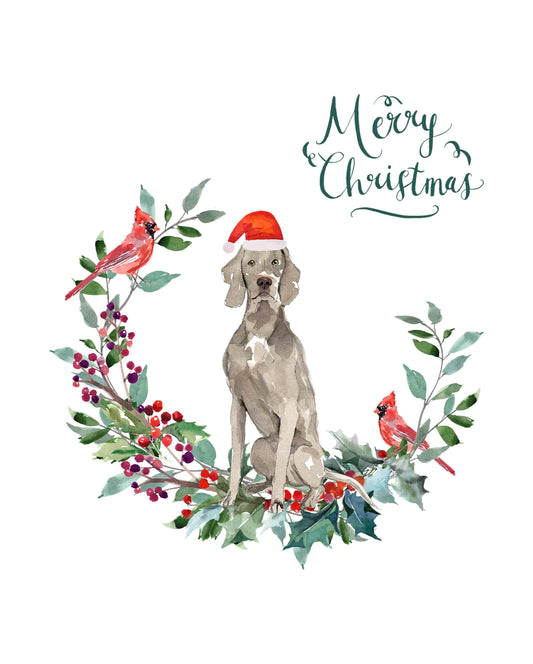 Weimaraner Dog Christmas Card