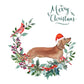 Tan Dachshund Dog Christmas Card