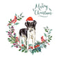 Stabyhoun Dog Christmas Card