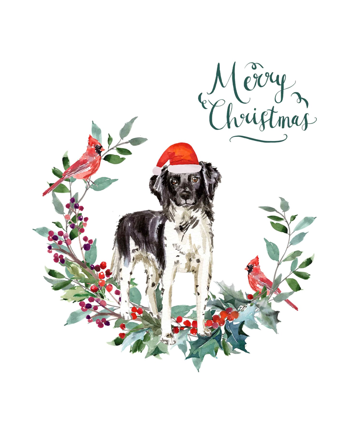 Stabyhoun Dog Christmas Card