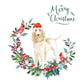 Spinone Italiano Dog Christmas Card