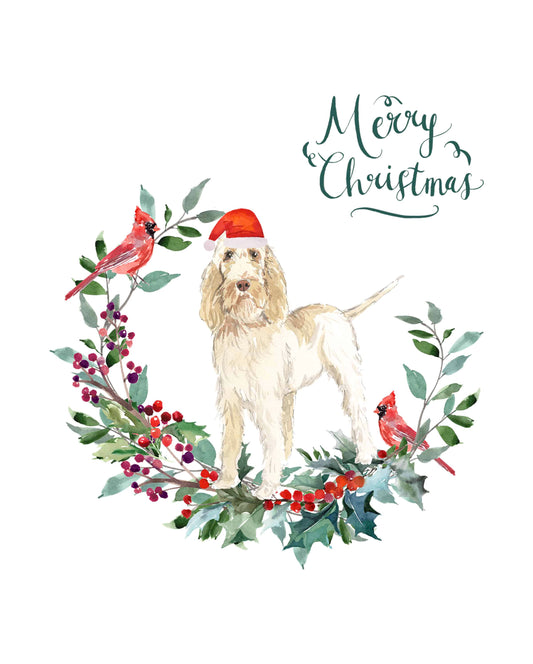 Spinone Italiano Dog Christmas Card