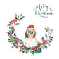 Shih Tzu Long Haired Dog Christmas Card