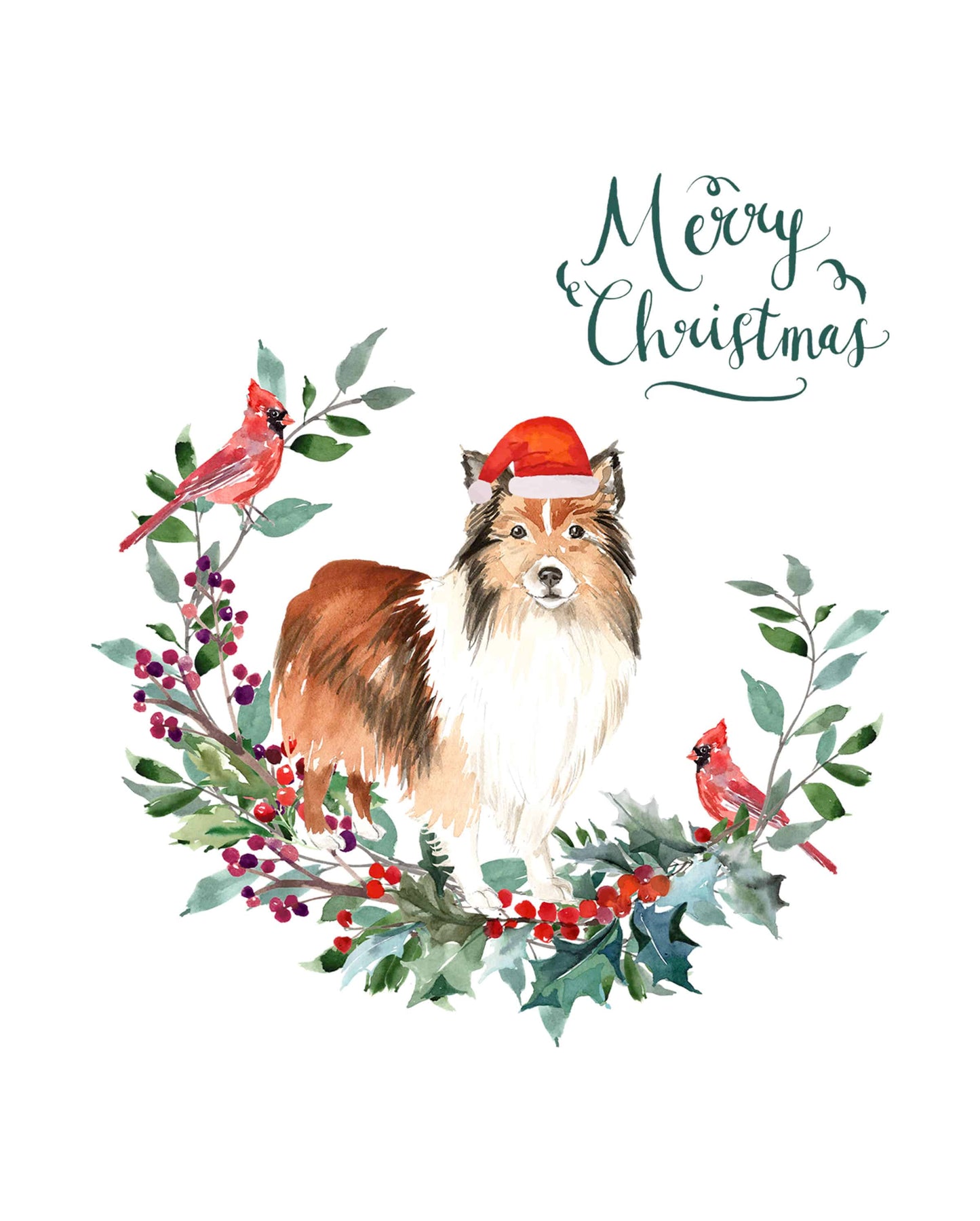 Shetland Sheepdog Christmas Card