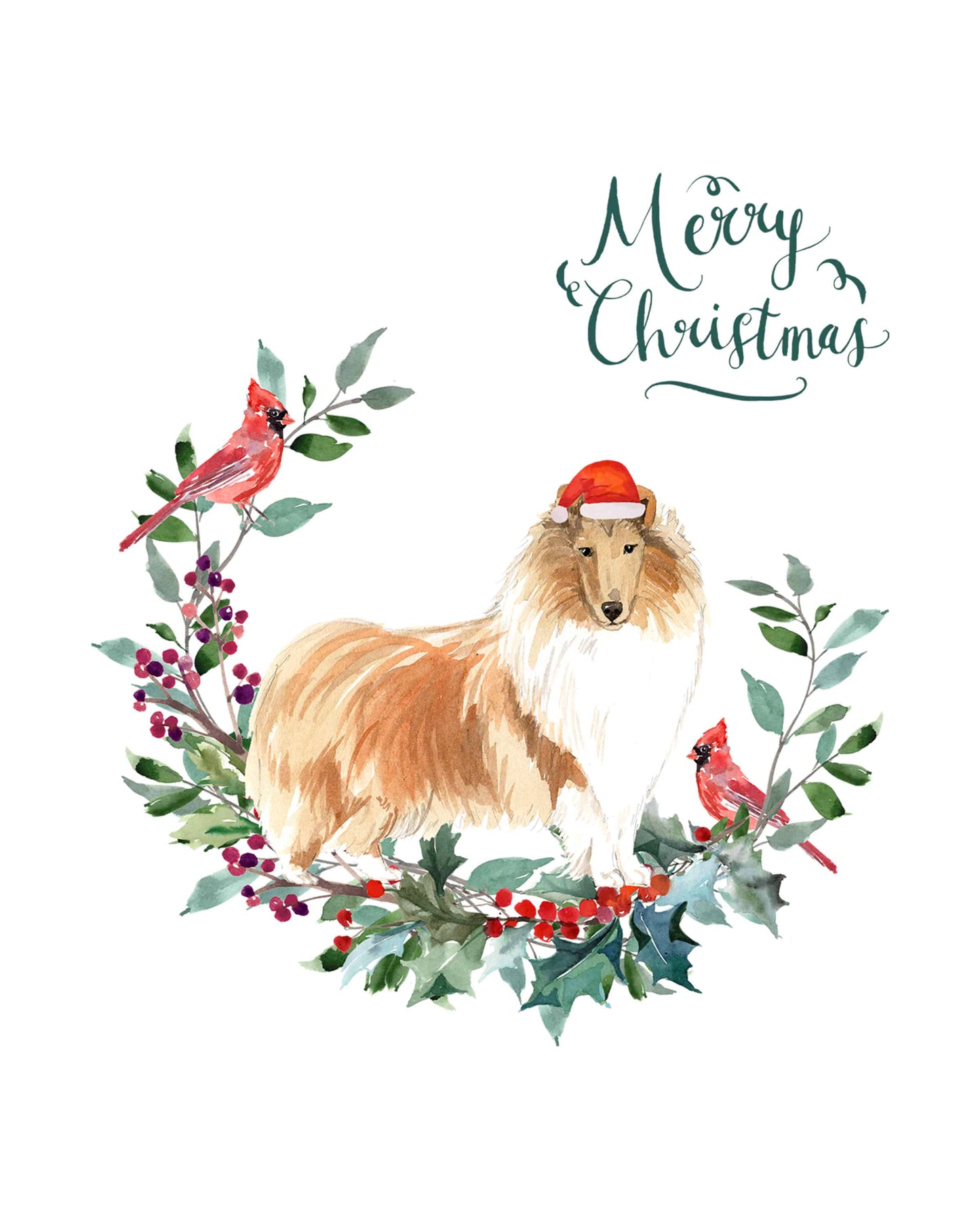 Rough Collie Dog Christmas Card