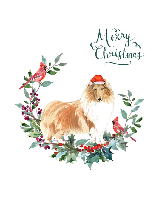 Rough Collie Dog Christmas Card