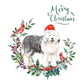 Old English Sheepdog Christmas Card