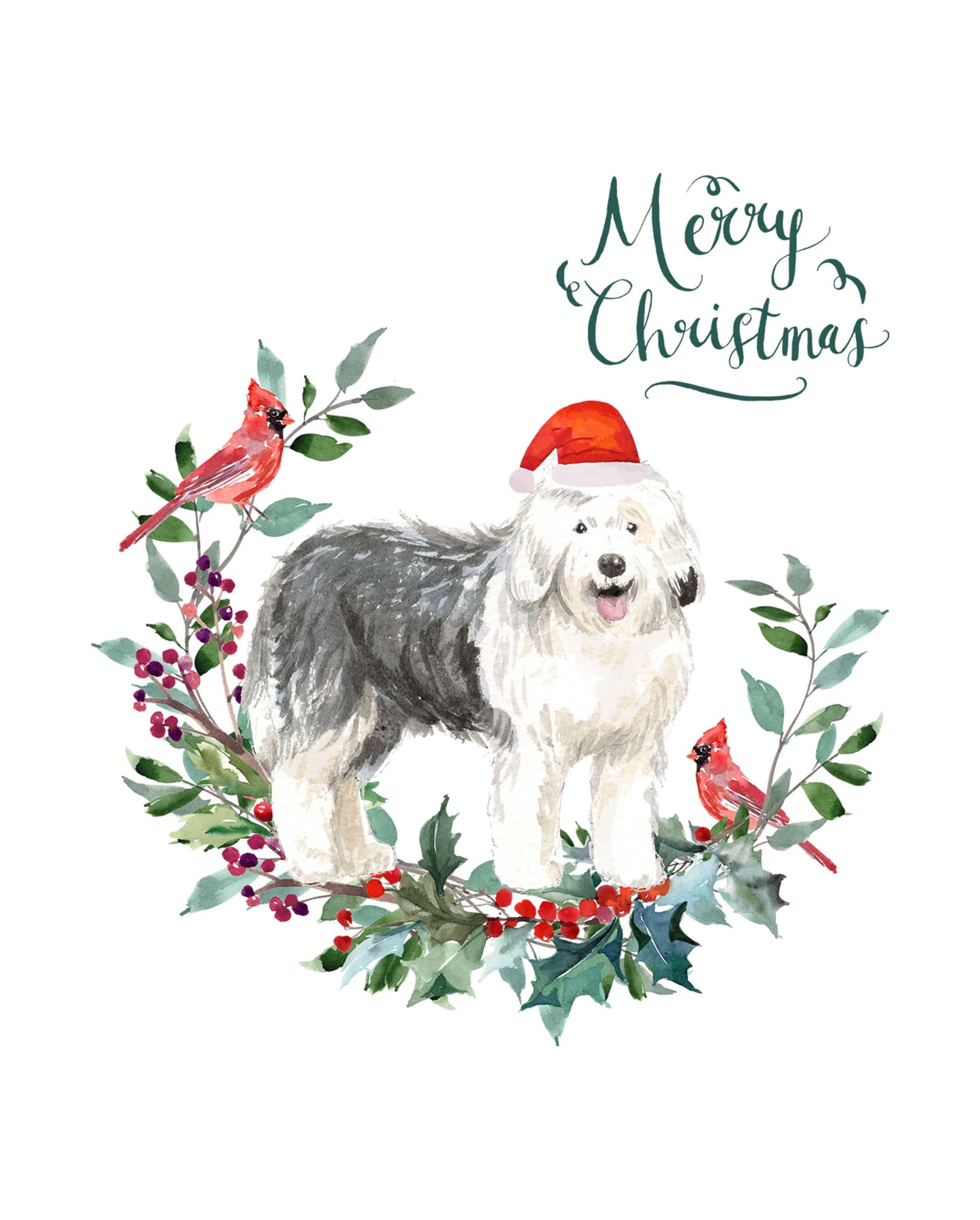 Old English Sheepdog Christmas Card