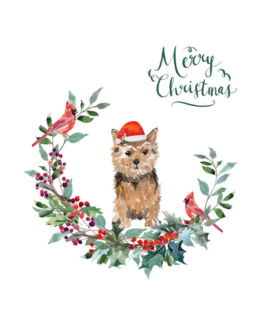 Norfolk Terrier Dog Christmas Card