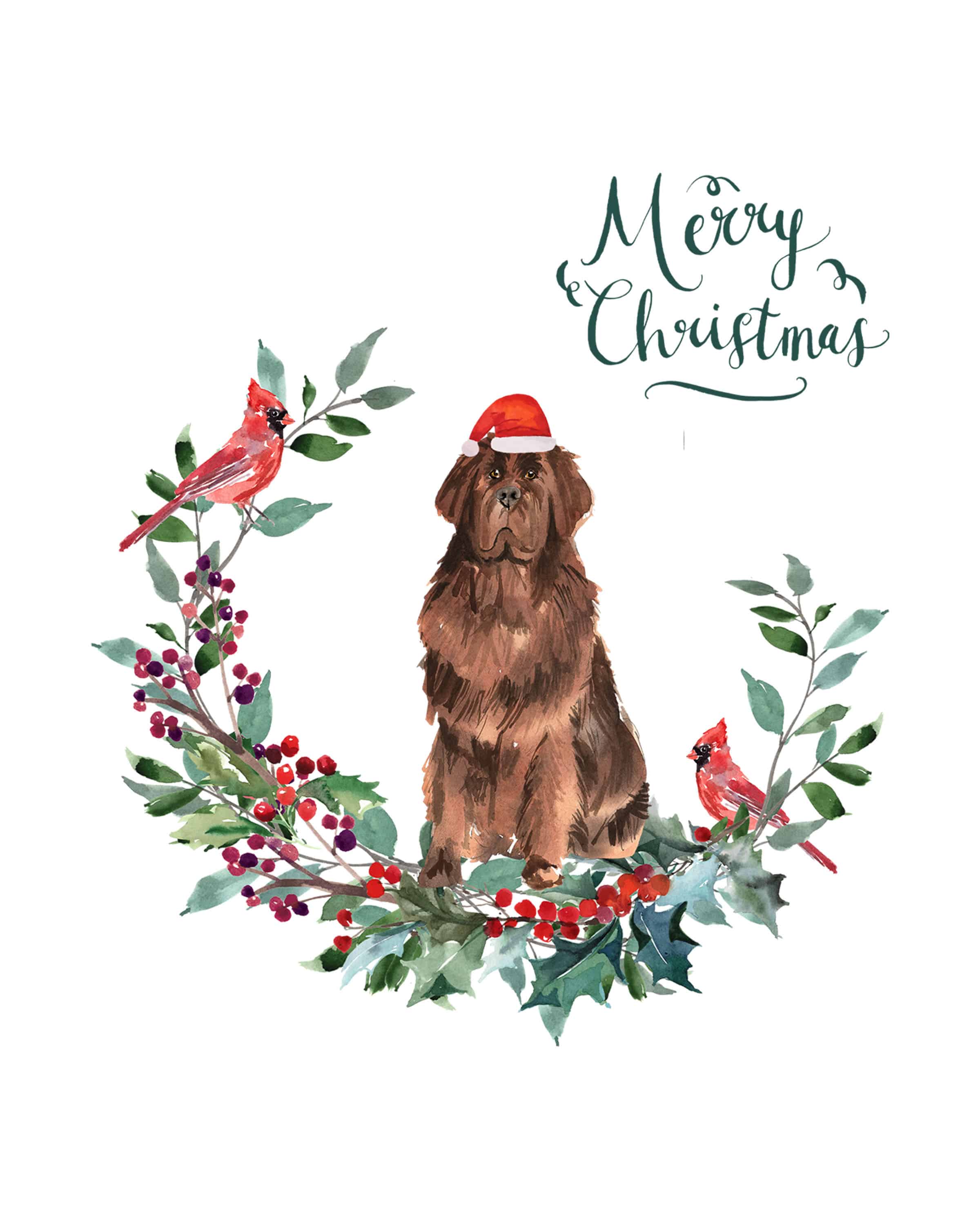 Newfoundland sales dog christmas