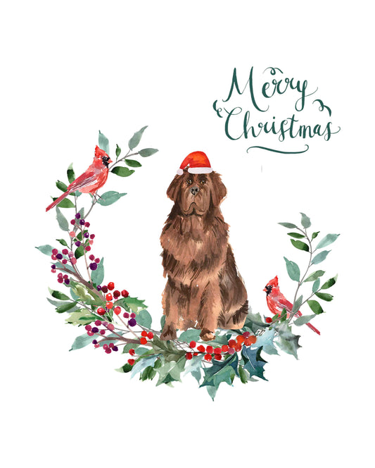 Newfoundland Dog Christmas Card