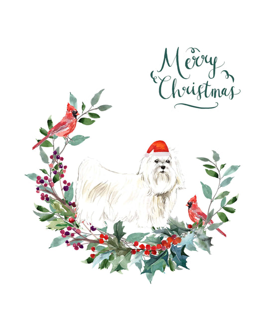 Maltese Dog Christmas Card