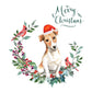 Jack Russell Dog Christmas Card