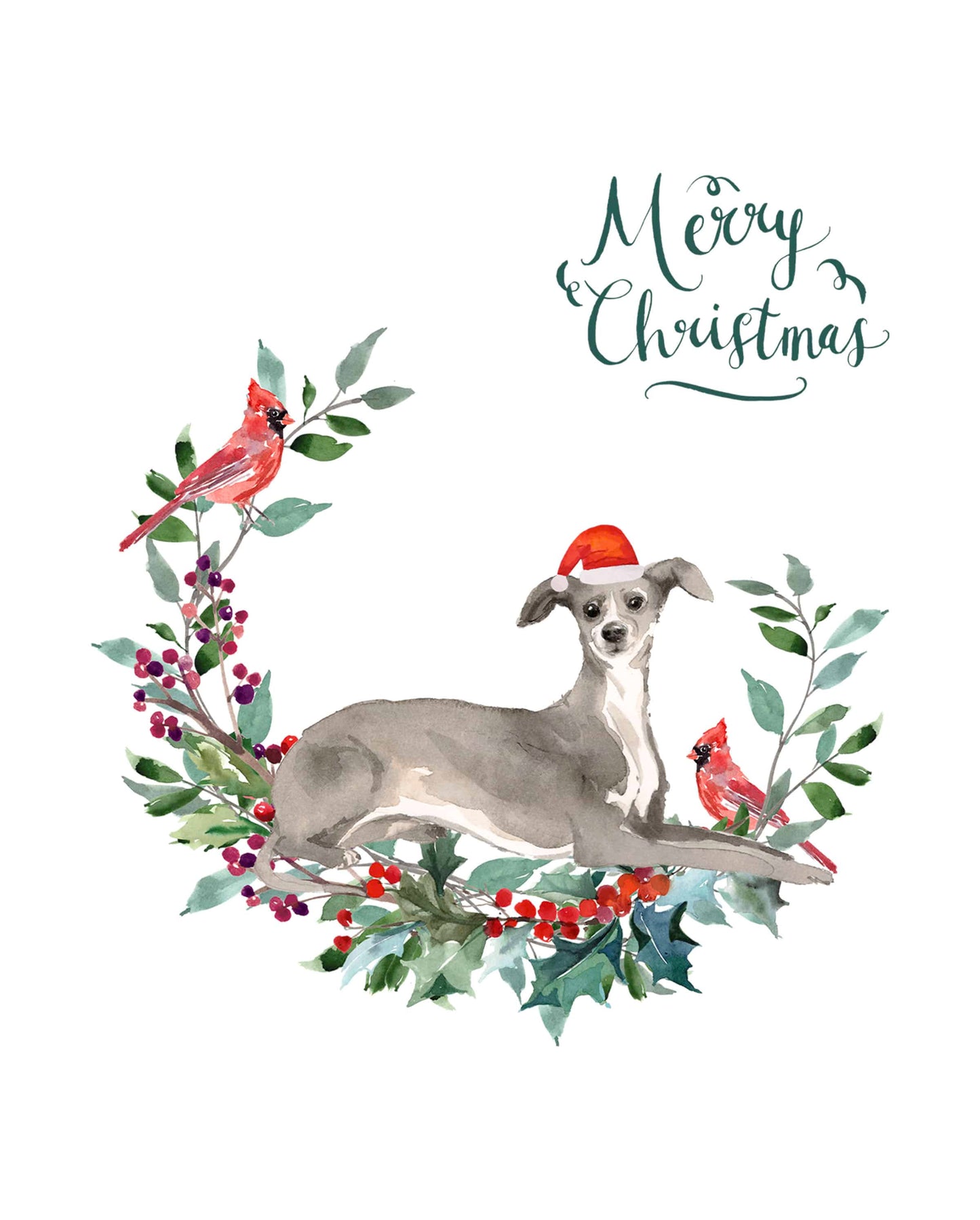 Italian Greyhound Dog Christmas Card