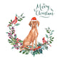 Hungarian Vizsla Dog Christmas Card