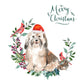 Havanese Dog Christmas Card