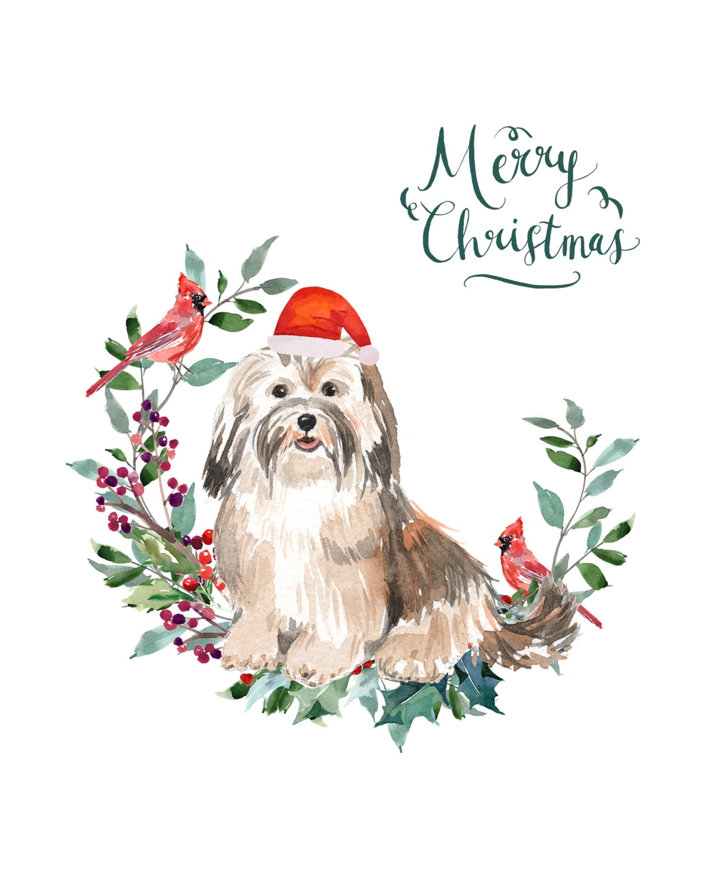 Havanese Dog Christmas Card