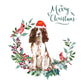 English Sprocker Spaniel Brown Dog Christmas Card