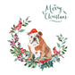 English Bulldog Dog Christmas Card