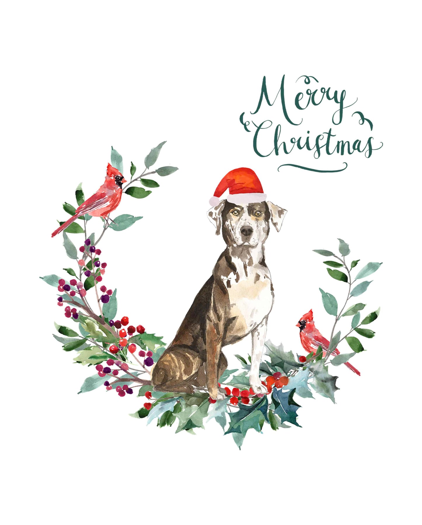 Catahoula Leopard Dog Christmas Card