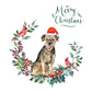 Border Terrier Dog Christmas Card