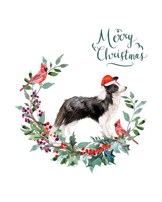 Border Collie Dog Christmas Card