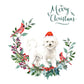 Bichon Frise Dog Christmas Card