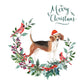 Beagle Dog Christmas Card