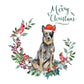 Australian Cattle Dog Christmas Card