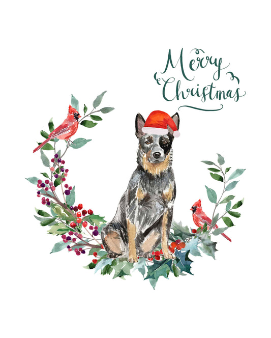 Australian Cattle Dog Christmas Card