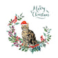 American Shorthair Brown Cat Christmas Card