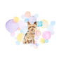 Yorkshire Terrier Dog Splash Card