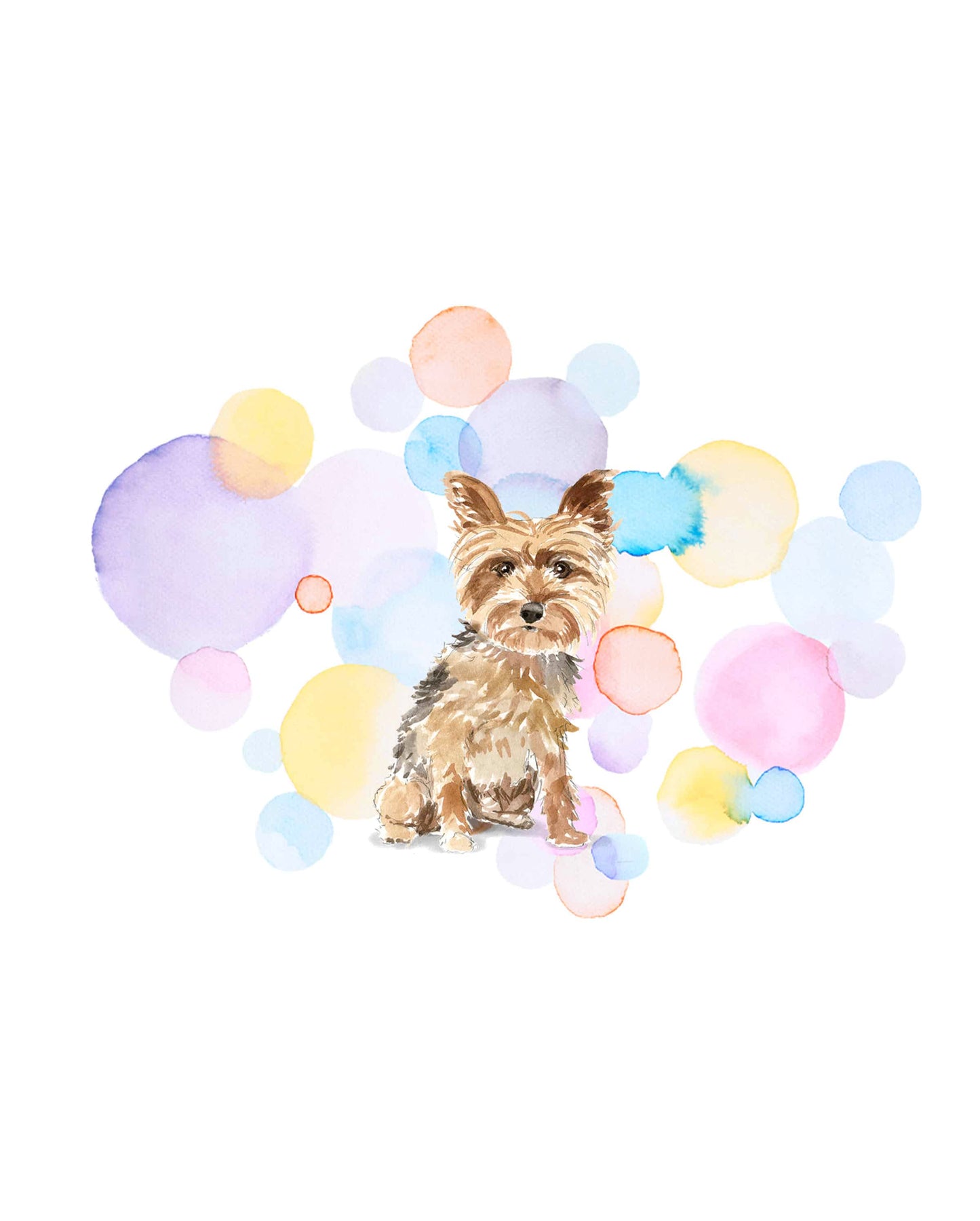 Yorkshire Terrier Dog Splash Card