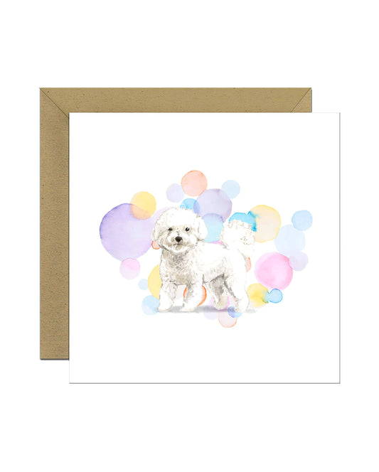 Bichon Frise Dog Splash Card