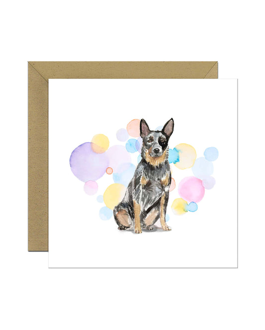 Australian Cattle Dog Splash Card