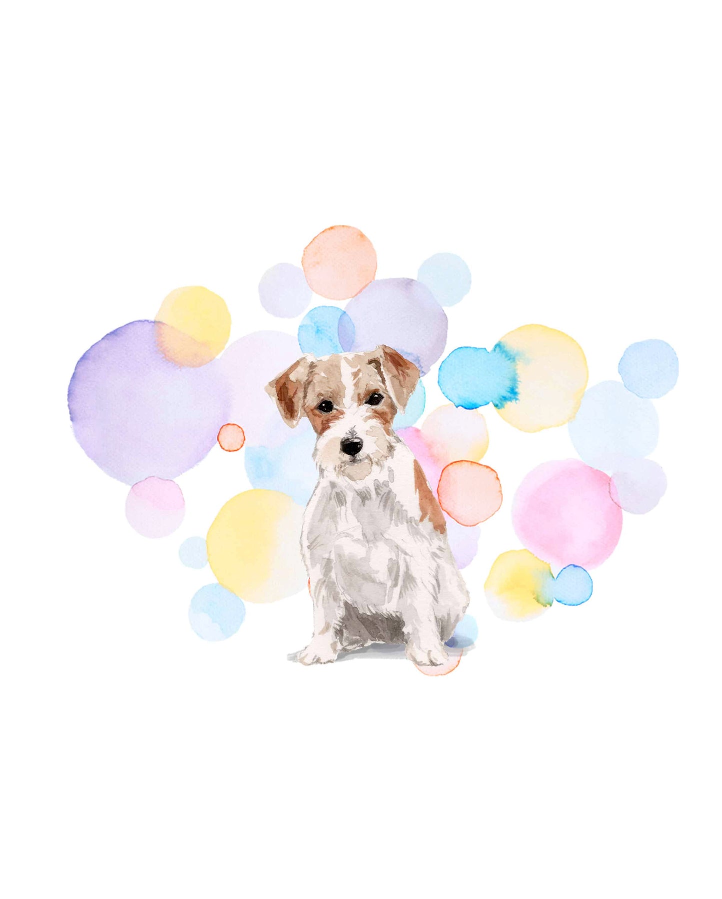 Wire Haired Jack Russell Dog Splash Card