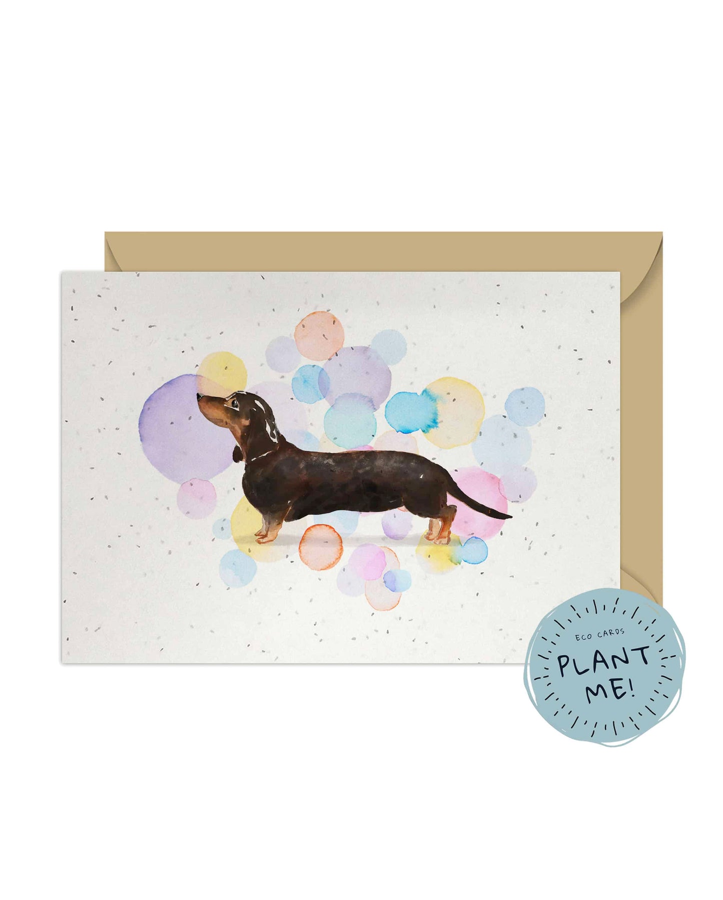 Tan Dachshund Card - Splash