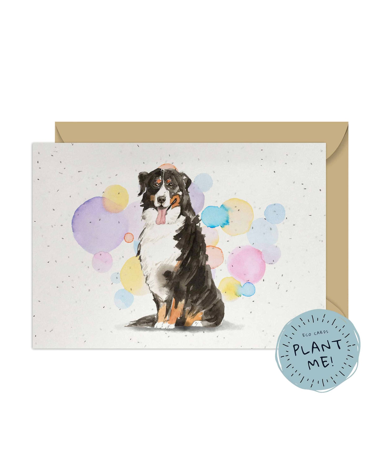 Bernese Mountain Dog Splash Card